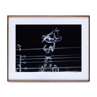 Vuelo Del Águila, 2014