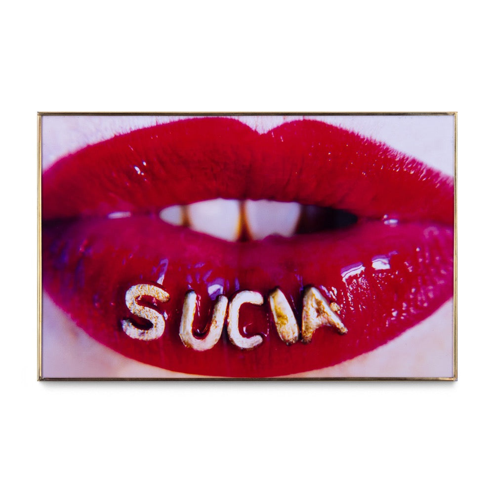 Sucia