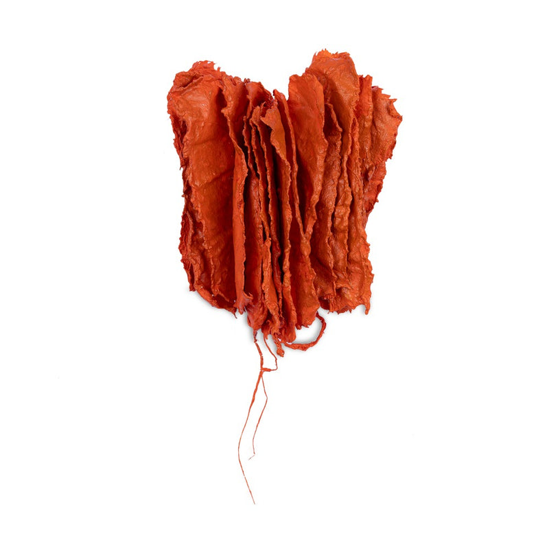 Orange Wavelengths lI, 2026
