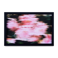 Desvanecer III, 2025